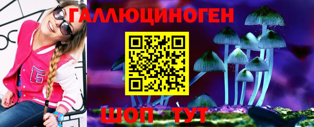 Псилоцибиновые грибы Cubensis Нерюнгри